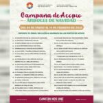 Anuncian programa de acopio de árboles navideños