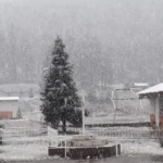 Chihuahua se pinta de blanco tras nevadas