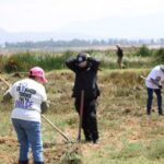 Localizan 317 restos óseos en límites de Tláhuac y Chalco