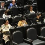 Dan a conocer la lista de 100 aspirantes al INE que pasaron a la ronda de entrevistas