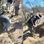 Colectivos de búsqueda hallan cinco fosas clandestinas en un predio en La Paz (Imágenes)