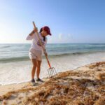 Fortalece Ana Paty Peralta el cuidado de playas con más de 25 mil toneladas de sargazo recolectadas