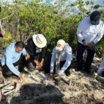 Cancún se suma a la jornada nacional de reforestación 2026