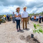 Suma Mara Lezama a Quintana Roo al Programa Nacional de Reforestación con más de 12 mil árboles